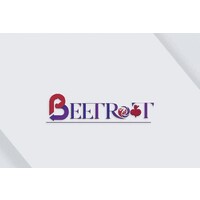 Beetroot Consulting Inc. logo - Similar company to Ethnus