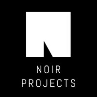 Noir Projects logo - Similar company to Pd Group Nl