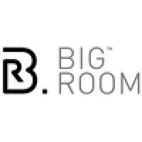 Big Room logo - Similar company to Danu Insight