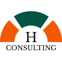 Hanoch Consulting logo - Similar company to Wow Adventures