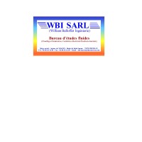 WBI SARL logo - Similar company to Lms Concept