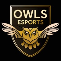 Sheffield Wednesday Esports