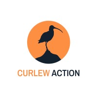 Curlew Action logo - Similar company to Growtrain Ltd