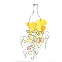 Natural Wine Importers, Inc. logo - Similar company to Bruto Natural Wine