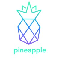 Pineapple Digital Agency & Business Intelligence