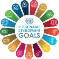 SDGS NYSC-CDS (Ado Ekiti) logo - Similar company to Kikiotolu Solutions - Web Design | App Development | Writing | Branding In Nigeria