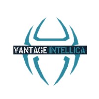 Vantage Intellica logo - Similar company to Tingle Software