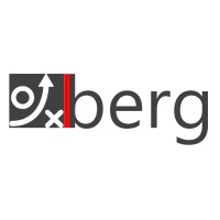 Berg Consultancy & International Trade logo - Similar company to Sapiō Ai