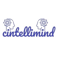 CINTELLIMIND logo - Similar company to Rocketedge.Com