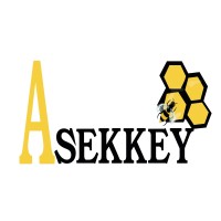 ASEKKEY logo - Similar company to Flashfab