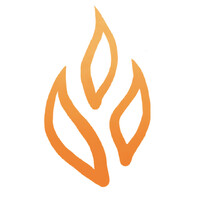 Flaer.io logo - Similar company to Frisco Ignite
