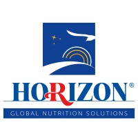 Horizon For Global Trade logo - Similar company to Server Horizon