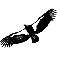 Condor Ventures logo - Similar company to Condor Ventures