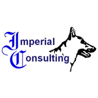 Imperial Consulting LLC logo - Similar company to Bluave Ltd
