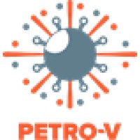 Petroleum Vision Contracting Company logo - Similar company to Elixirpro Engineering Solutions