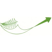 Fernway Business Services logo - Similar company to The Hr Patch Ltd