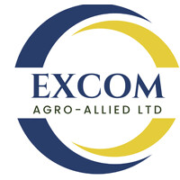 EXCOMLtd logo - Similar company to Vaultnoir