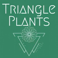 Triangle Plants logo - Similar company to Cocolene