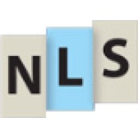 Next Level Strategies logo - Similar company to Indigo Sky Creative