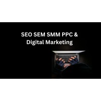 Professional SEO SEM SMM PPC & digital marketing Services logo - Similar company to Professional Services Marketing Association