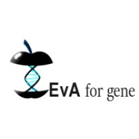 EvA for GENE logo - Similar company to Iguannaweb