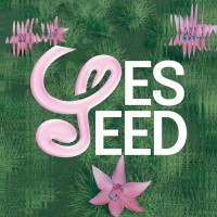 Yes Feed Nonprofit Organization logo - Similar company to Yes Study Education Group Inc.™