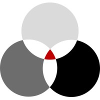 Nexilis Capital logo - Similar company to Mecta Capital Sa