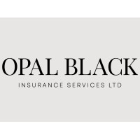 Opal Black Insurance Services Ltd logo - Similar company to Mintd
