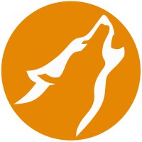 Dronewolf Systems
