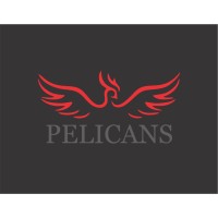 Pelicans logo - Similar company to Loop Marketing Llc
