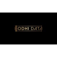 Bodhi Data logo - Similar company to Webster Consulting Group