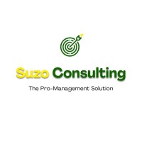 Suzo Consulting logo - Similar company to Vably