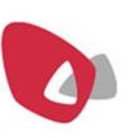 European Values Study logo - Similar company to World Values Survey Association