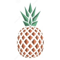 Grupo Aloha Nui logo - Similar company to Hct