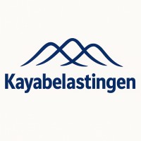 Kayabelastingen logo - Similar company to Kaya Partner Rechtsberatung And Lawyers