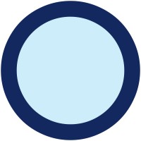 BlueMelon Web & AI Agency logo - Similar company to Alvasync