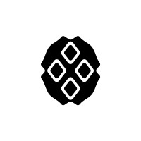 Testudo logo - Similar company to Fintary