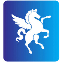 Pegasus Finvest Private limited logo - Similar company to Pegasus Ventures