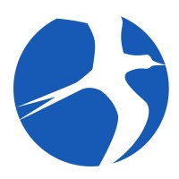 Value IT Swiss logo - Similar company to Make-It-Simple