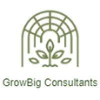 GrowBig Consultants logo - Similar company to Blue Collar Automation