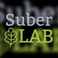 Suber Lab