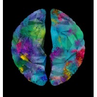 PsyTechGlobal logo - Similar company to Psyk-Ed