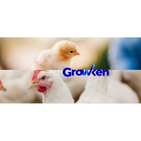 Growken by Algoritmo S.R.L. logo - Similar company to Tech 4 | Inovações Para Avicultura