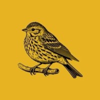 Yellow Hammer Education Services Ltd logo - Similar company to Teachnlearn Usa