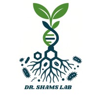 Dr. Shams Lab logo - Similar company to Tantranzm Academy