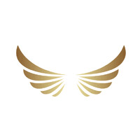 Vincitori Ventures logo - Similar company to Vincitori Technologies