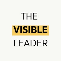 The Visible Leader logo - Similar company to Sales & Pepper