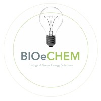 BioEchem logo - Similar company to Taqua