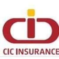 CIC INSURANCE MW LIFE/GENERAL logo - Similar company to Blantyre Institute For Community Outreach