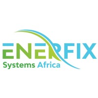 Enerfix Systems Africa Ltd logo - Similar company to Transford Solutions Ltd